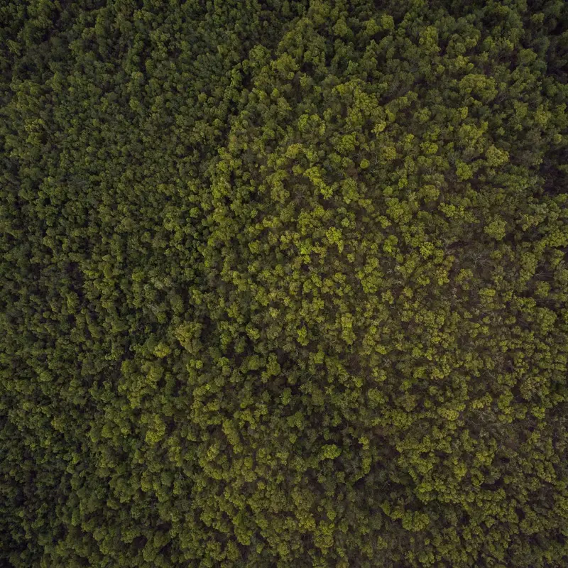 教育进步