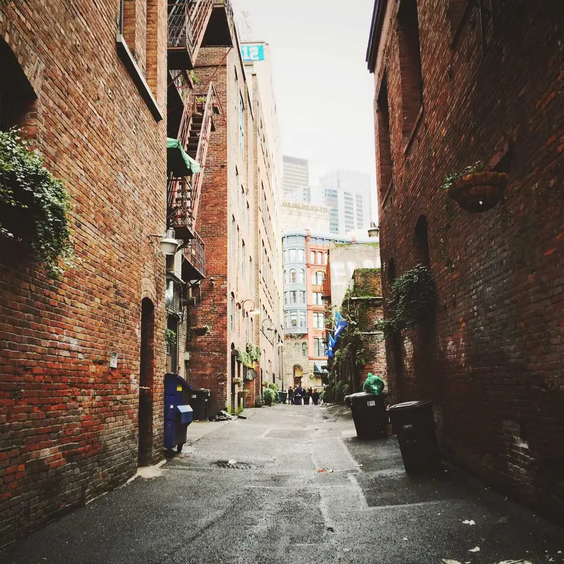 苏州交友网站建设